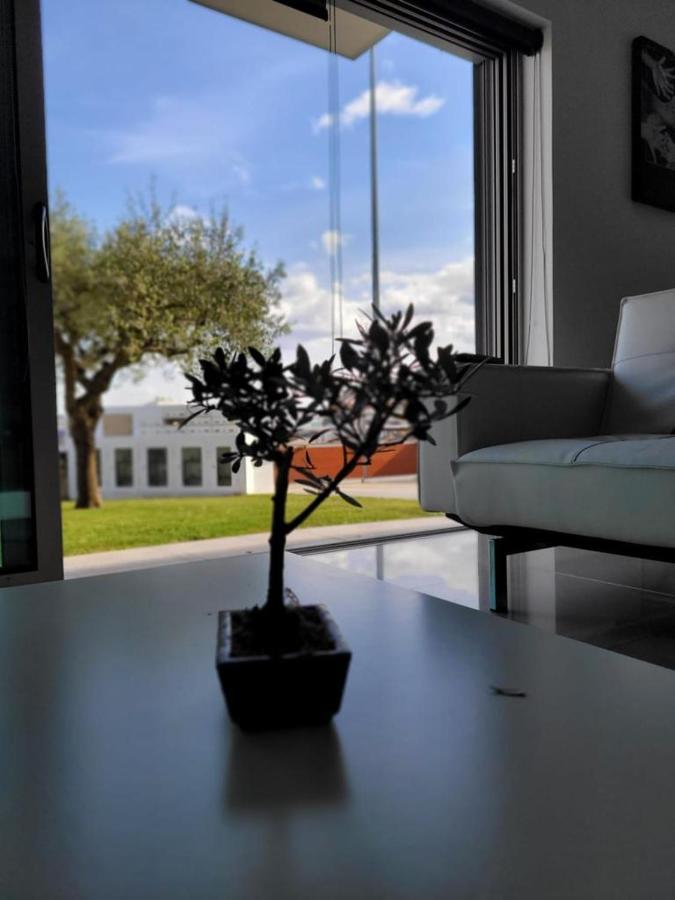 Olive Ap. Lägenhet Torreira Exteriör bild